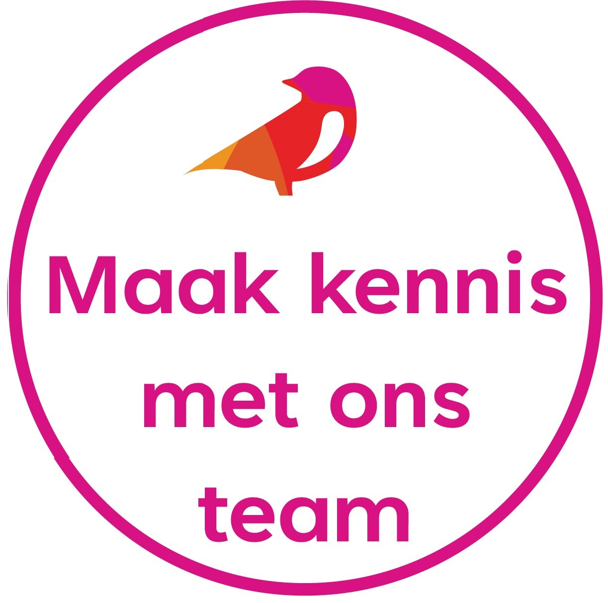 tekst maak kennis met ons team
